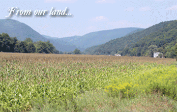 cbts_cycle_animation_v4